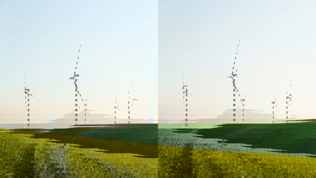 Wind turbines standing in a grassy field landscape on a sunny day.